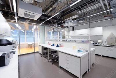 國(guó)產(chǎn)仿制藥：“青出于藍(lán)勝于藍(lán)”